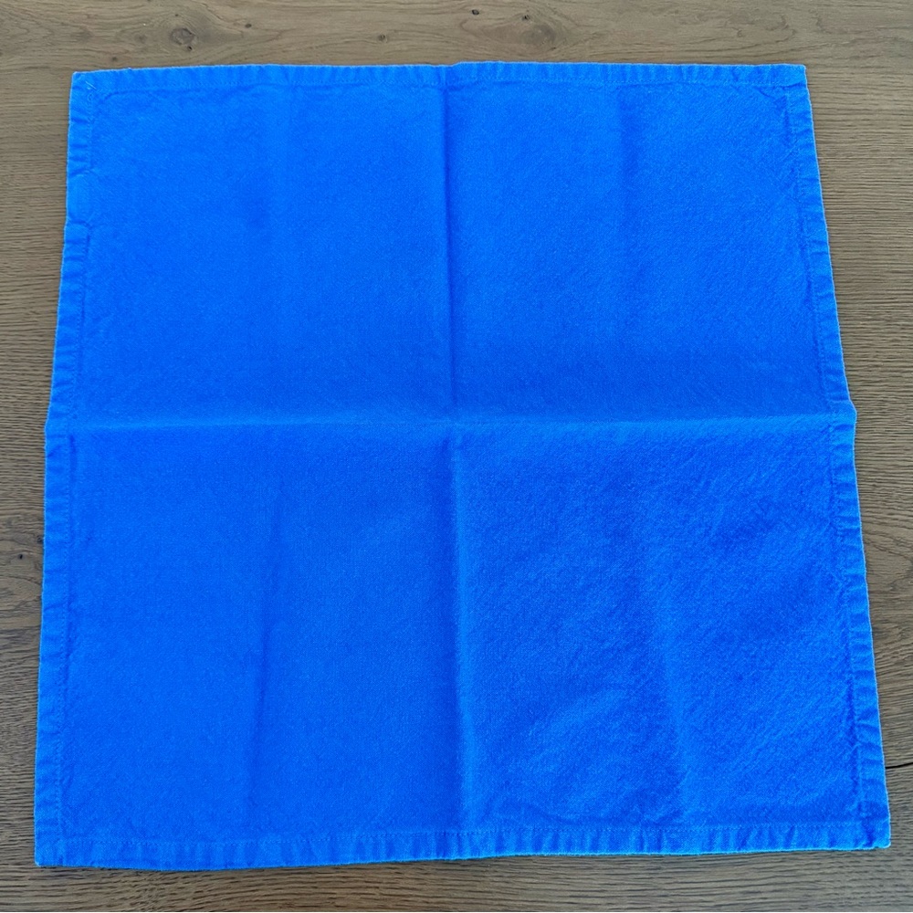 Vibrant Blue Cloth Napkins